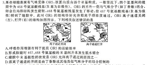 2024年陕西省初中学业水平考试模拟卷(四)4生物试题答案