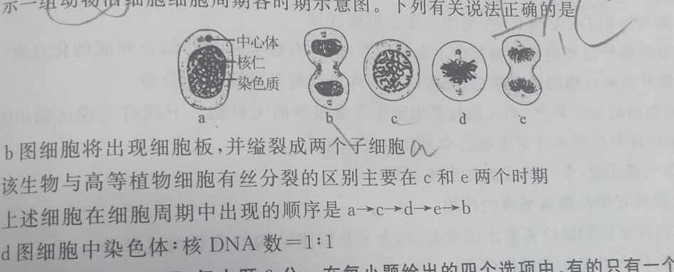 2025届广东省高三年级开学收心考（8月）生物试题答案